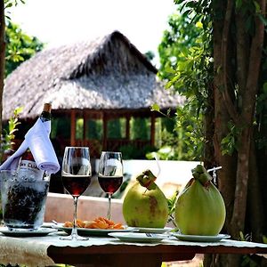 Forever Green Resort